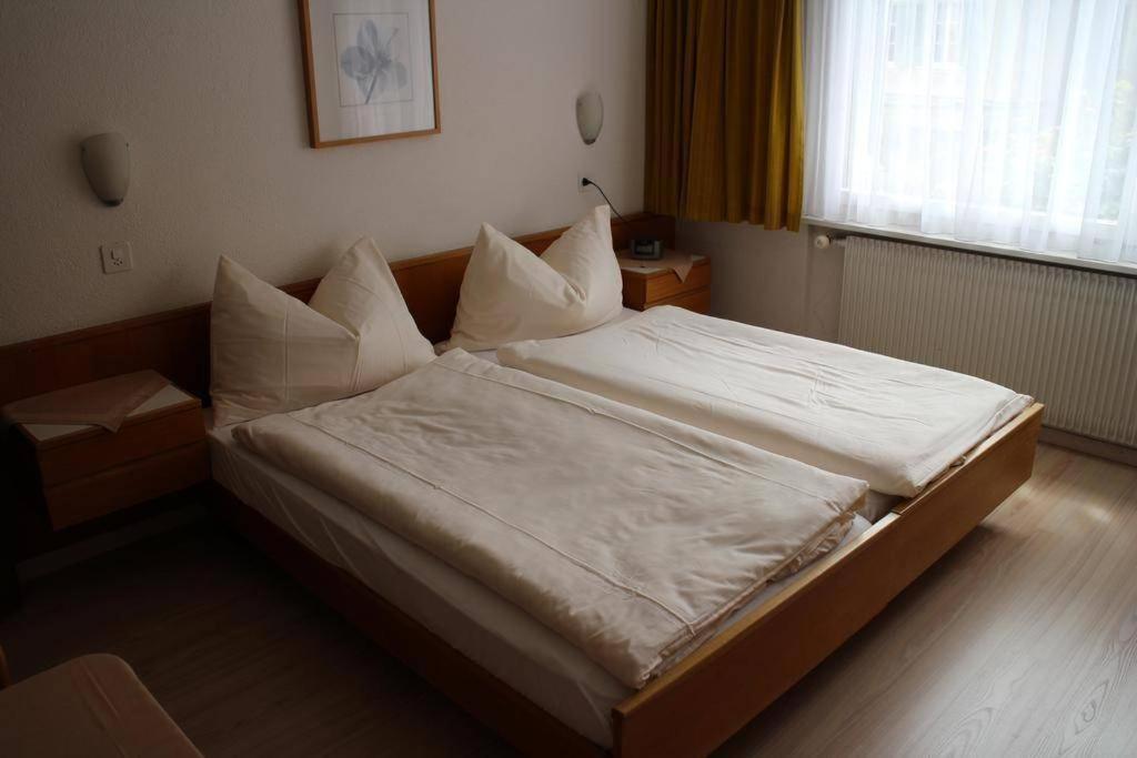Hotel Rebstock 迈林根 外观 照片